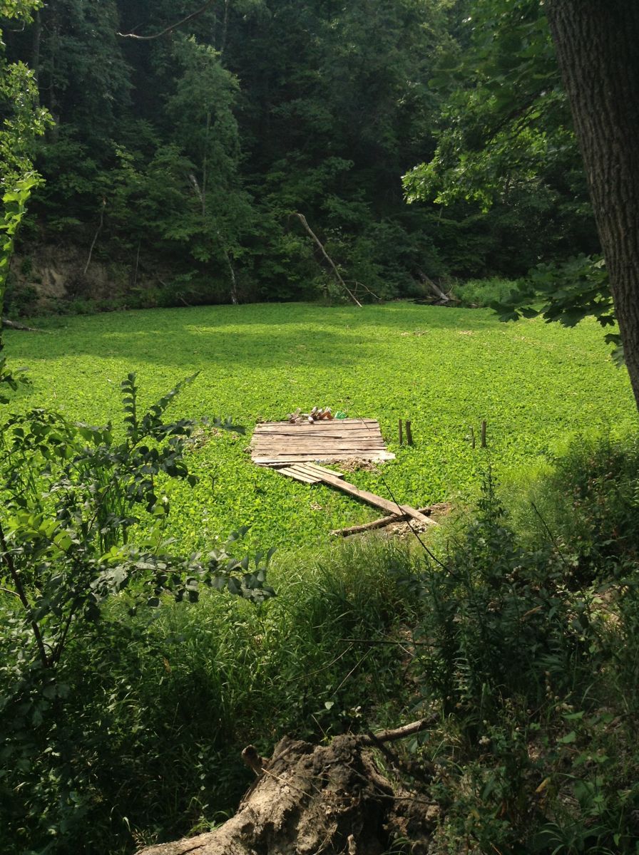 Красивый фон для фото- или видеосъёмки.