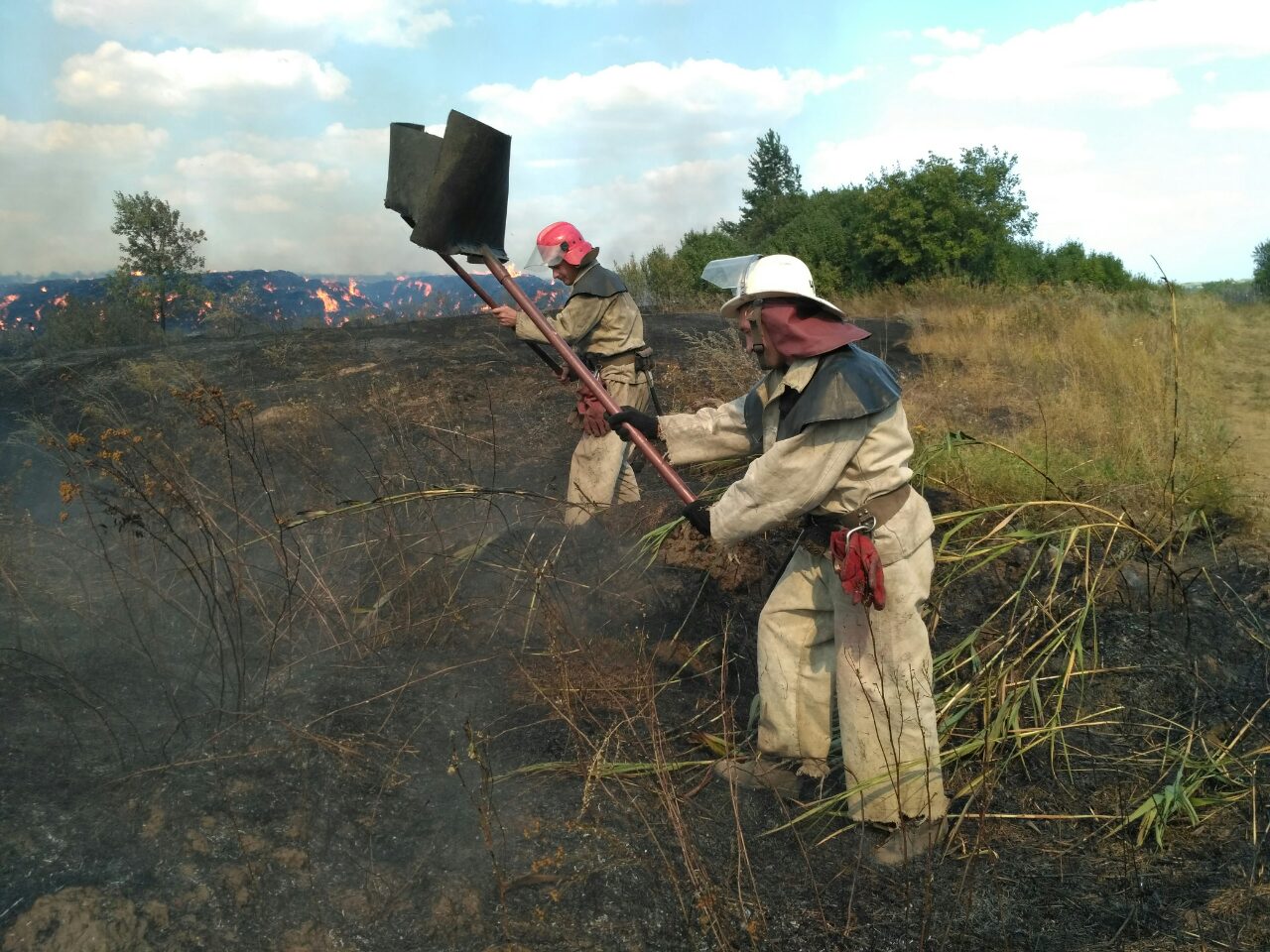 Фото: dsns.gov.ua