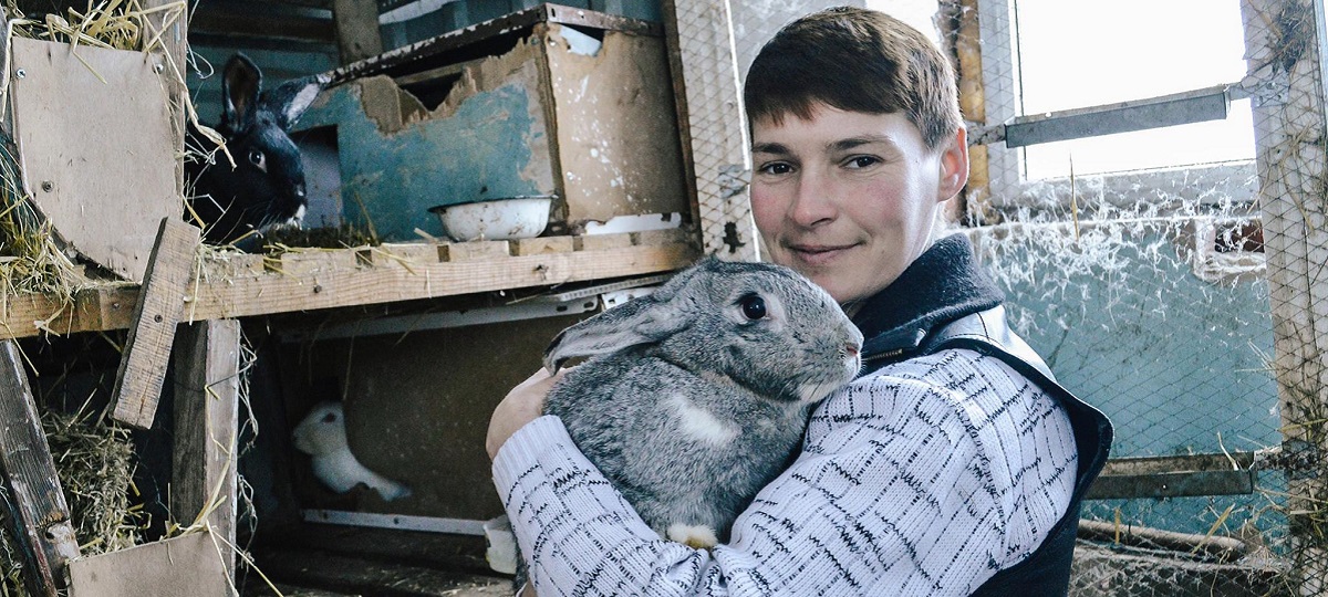 Сшить новое дело Сшить новое дело