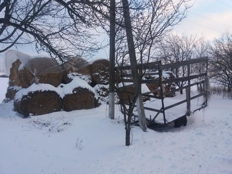 В Харьковской области в стоге сена нашли младенца В Харьковской области в стоге сена нашли младенца