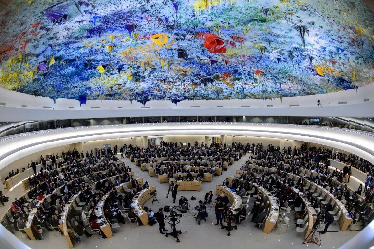 Украина начинает работу в Совете ООН по правам человека Украина начинает работу в Совете ООН по правам человека