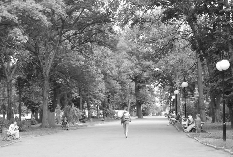 Колишній Іоанно-Усікновенський цвинтар став Молодіжним парком.