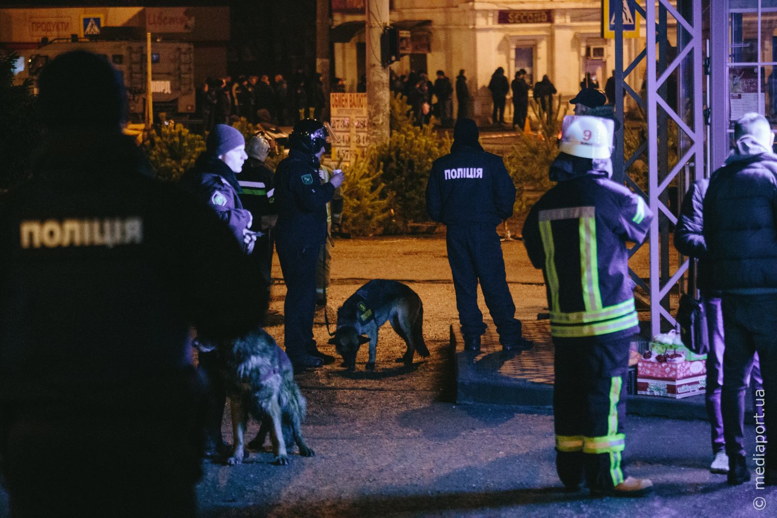 Фото: Павел Пахоменко
