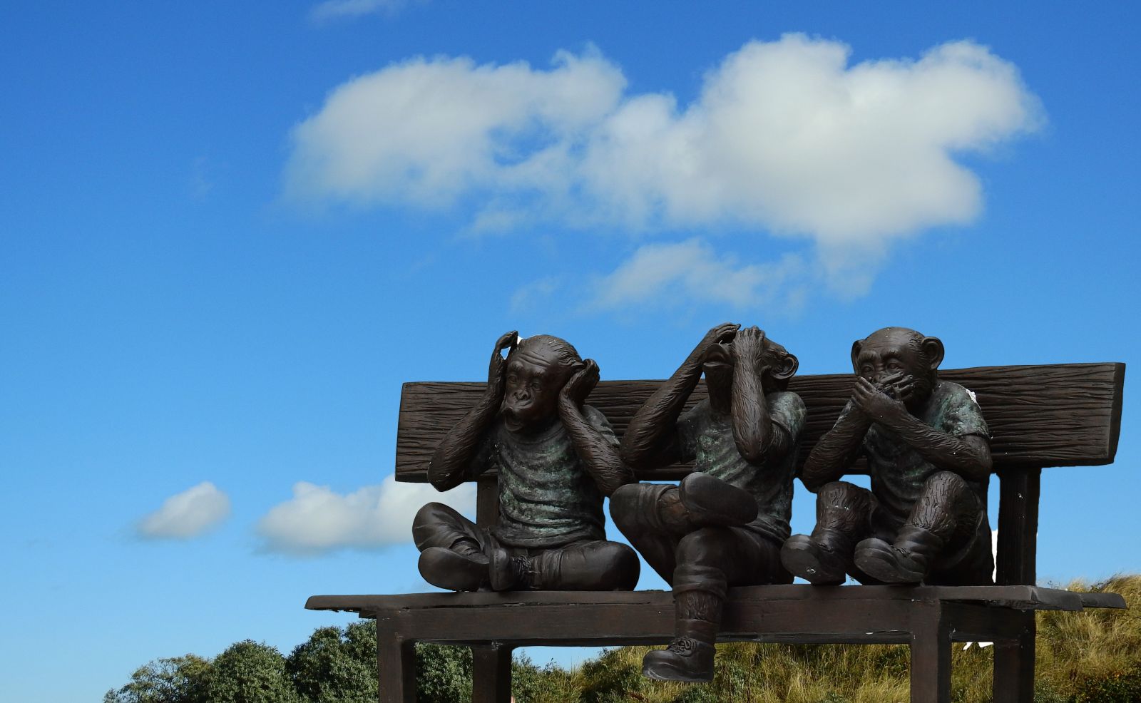 Ілюстративне фото: pexels.com