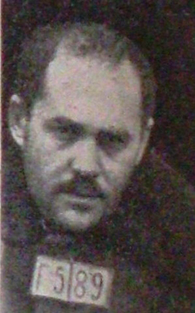 Адвокат Штернман