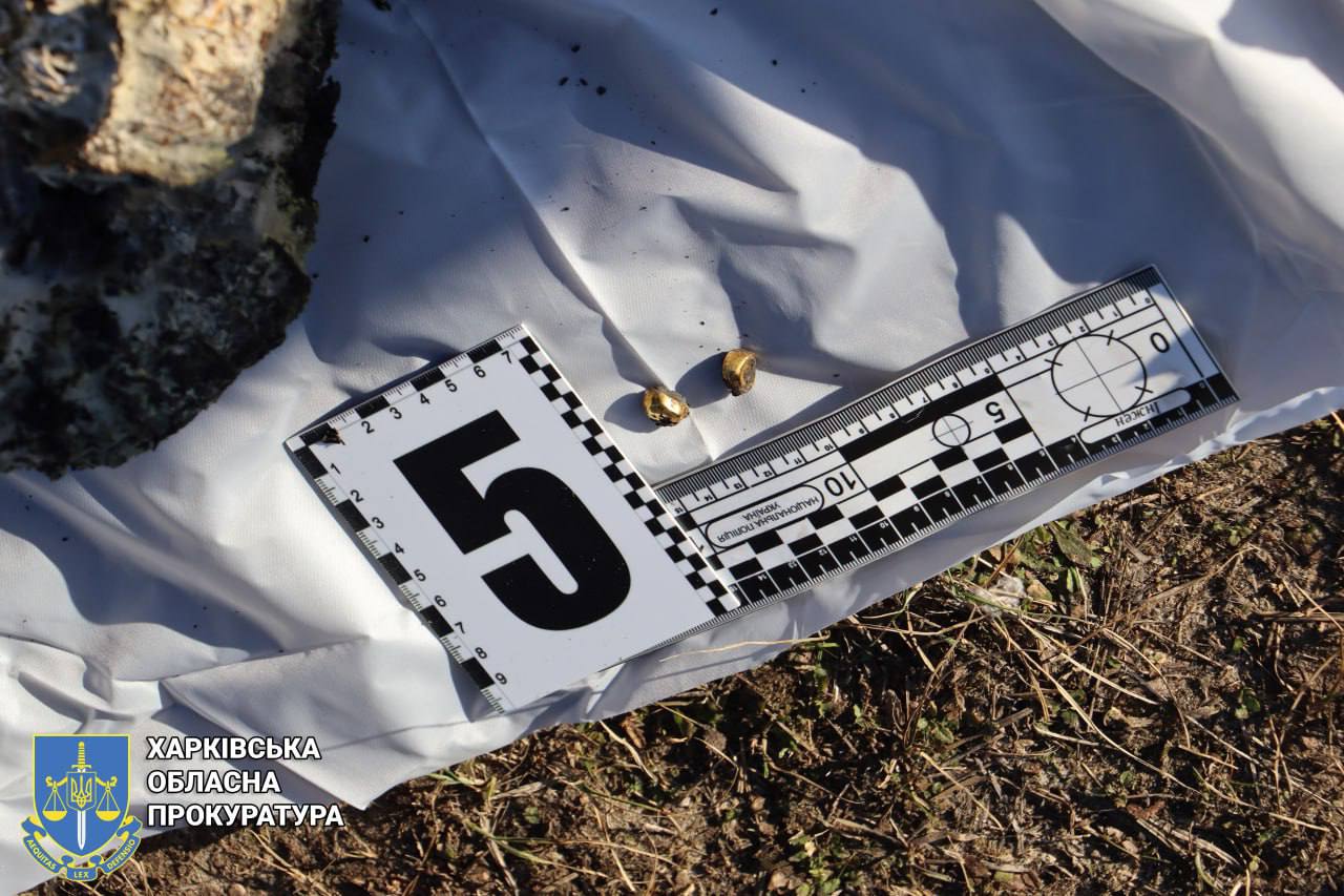 Фото: ГУНП у Харківській області