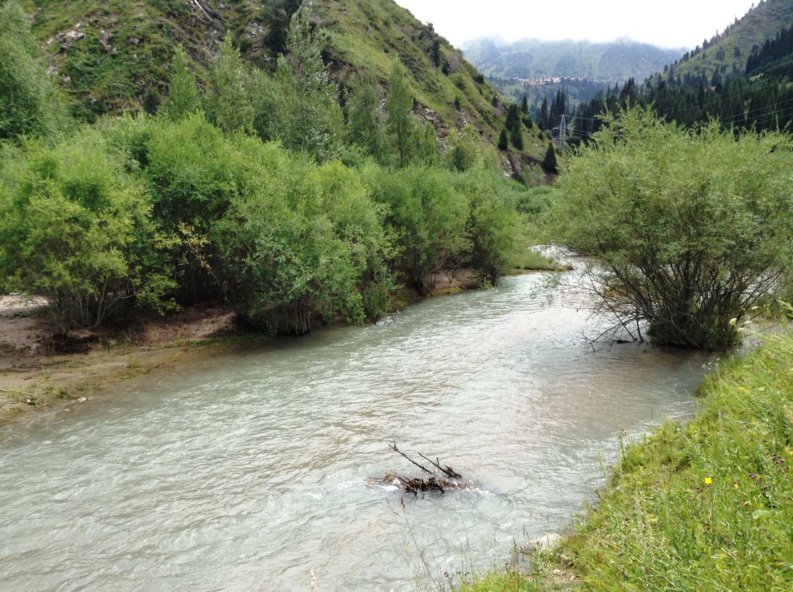 Горная река. Вода ледяная