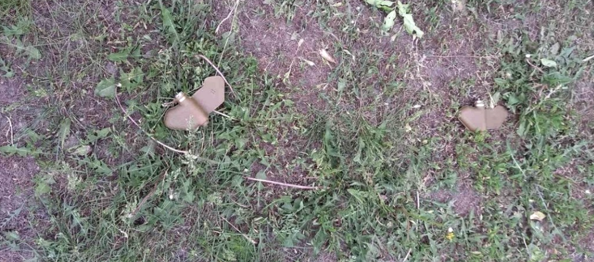 Протипіхотні міни ПФМ-1 на Херсонщині, травень 2022. Джерело фото: mil.in.ua