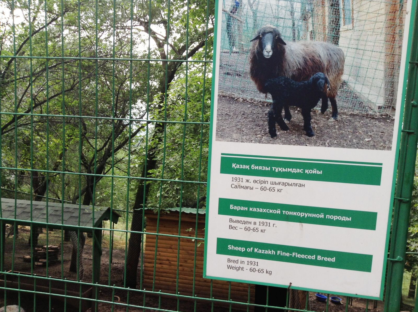 Мини-зоопарк на горе Кок-Тюбе