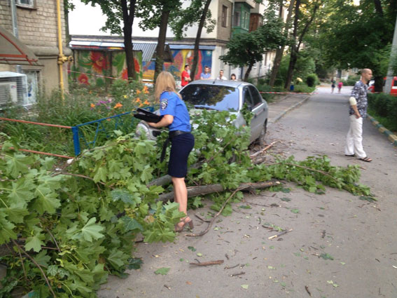 Ветка зацепила машину, припаркованную возле подъезда. Фото: ГУ МВД в Харьковской области