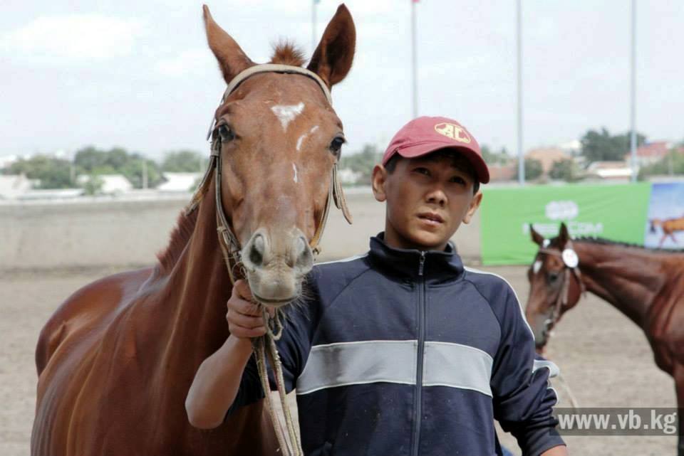 Лошадь кыргызской породы