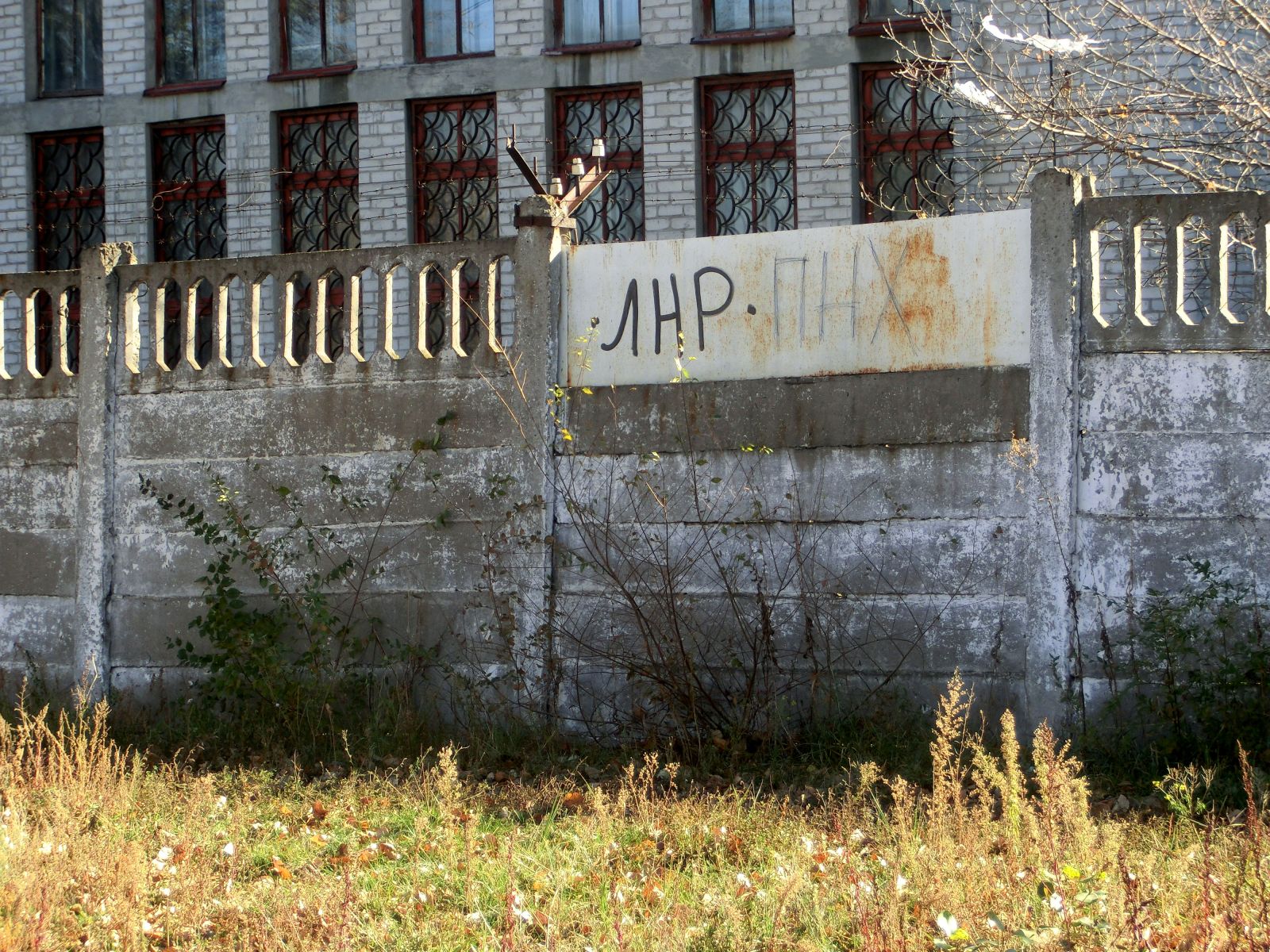 Карина ткач северодонецк