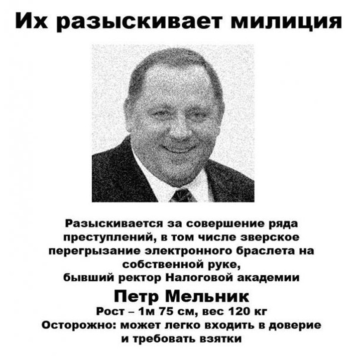 Шутка из Сети