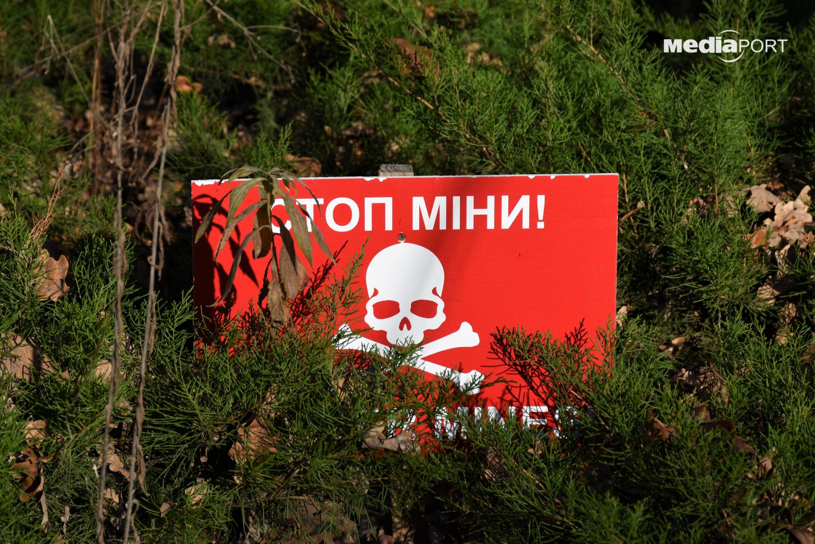 За даними ДСНС, через російське повномасштабне вторгнення Харківщина — одна з найзасміченіших мінами та вибухівкою областей України