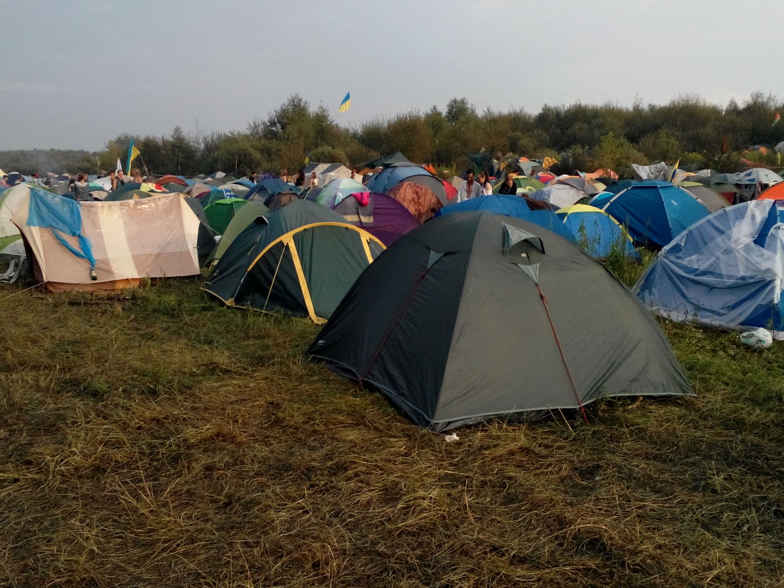 Бесплатный палаточный городок. Народу приехало очень много, 15-20 тысяч. Палатки здесь, на фото, слева, справа, вон там в посадке, сзади...