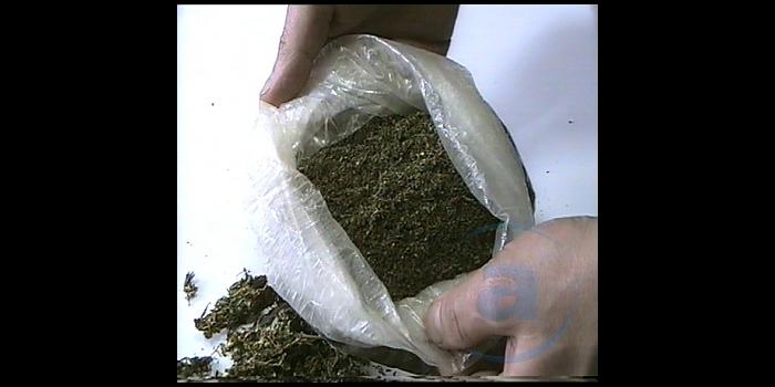 Гашиш марихуана героин индийский конопля